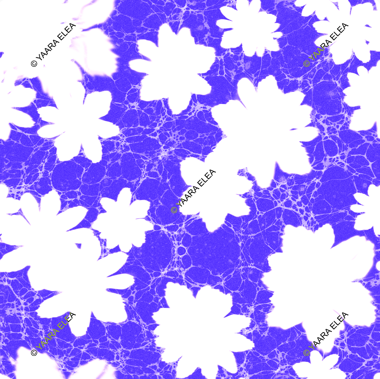 PELITHRA – Electric Bloom Contrast Textile Print