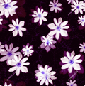 PERYL – Velvet Bloom Night Textile Print