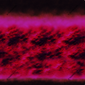 RAE – Crimson Horizon Textile Print
