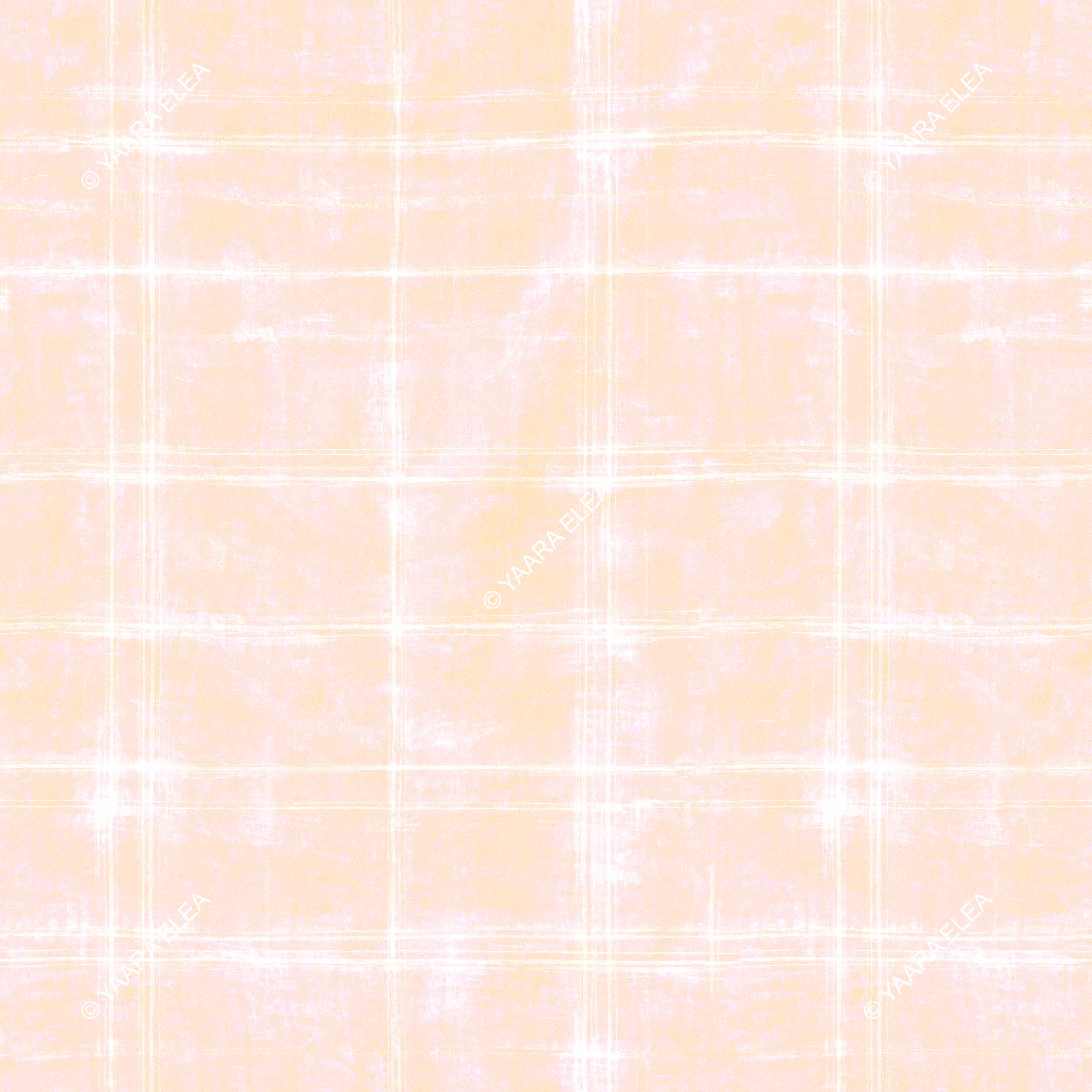 AEVION – Soft Washed Tartan Print