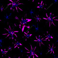ALORA – Electric Bloom Print