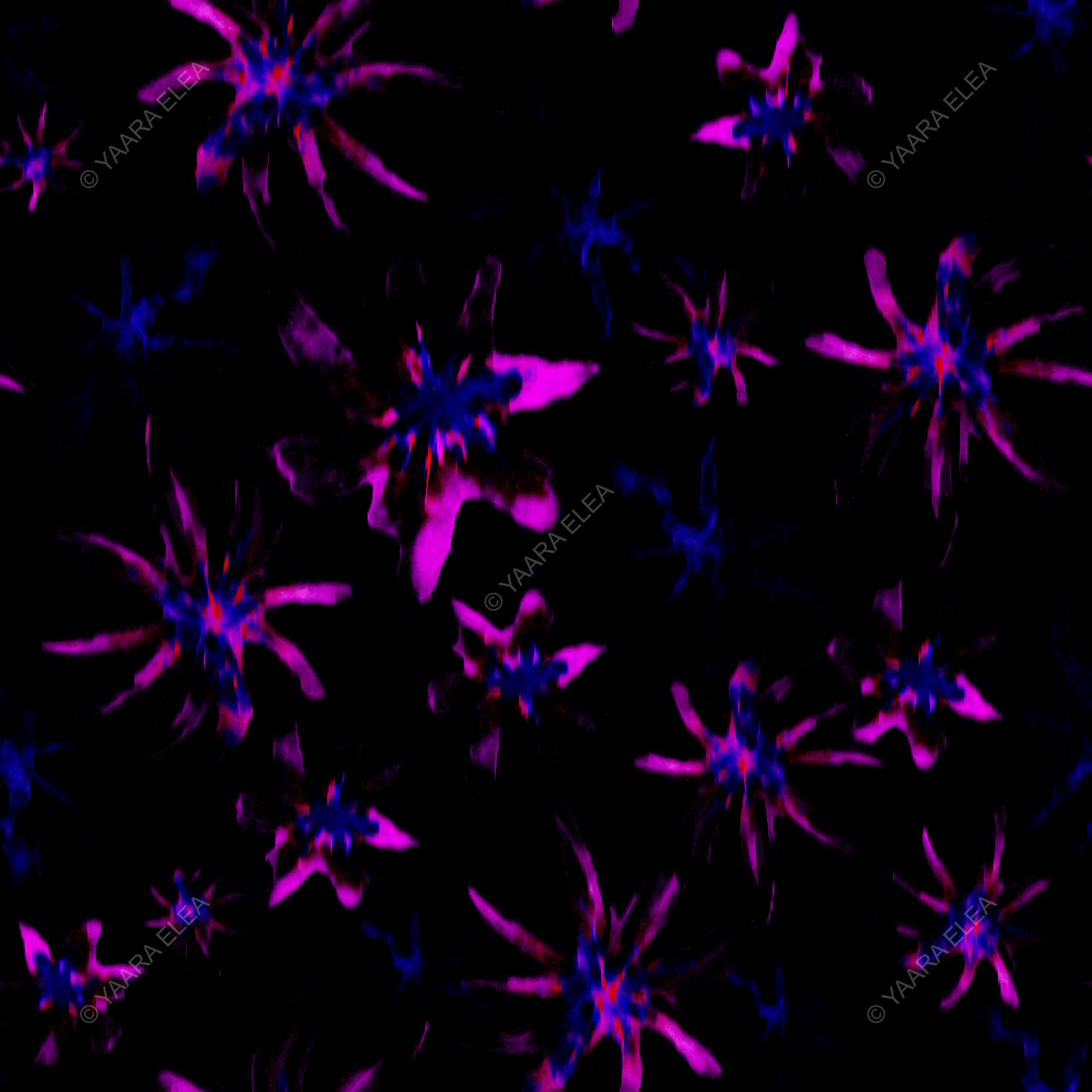ALORA – Electric Bloom Print
