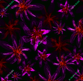 ELVAR – Neon Orchid Pattern